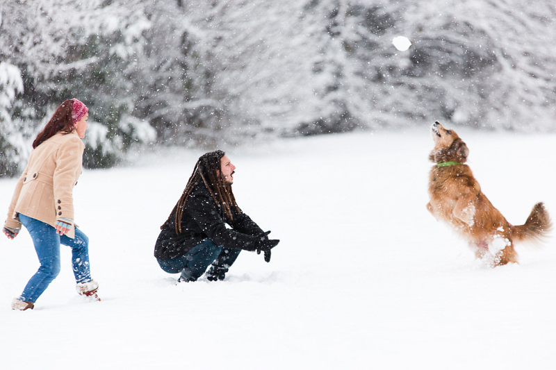 dog catching snowball, snowy family portraits | ©Megan Rei Photography | Bealeton, VA