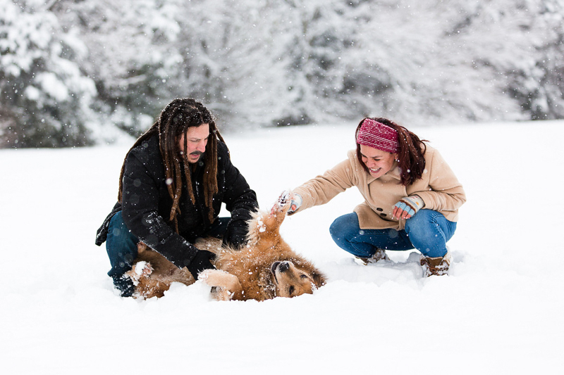 dog getting a belly rub in the snow, ©Megan Rei Photography | dog-friendly family portraits 