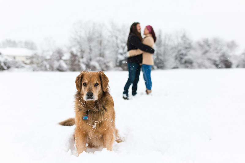 dog sitting in the snow, couple embracing behind the dog ©Megan Rei Photography | dog-friendly family portraits, Bealeton, VA