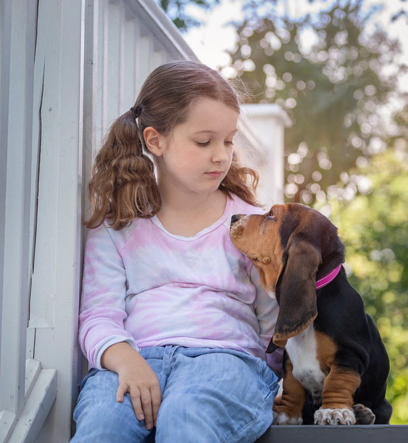 bond between girl and her puppy, Bassett Hound puppy wearing pink collar | ©Terri J Photography