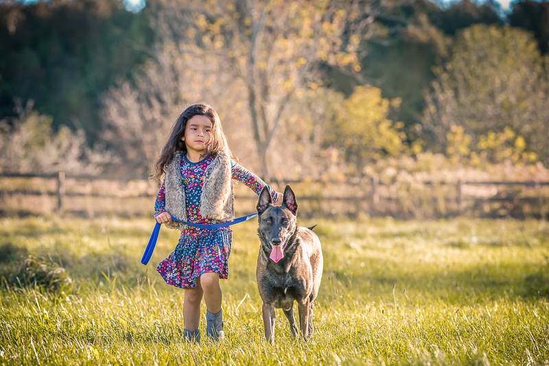 young girl walking large dog, ©Terri J Photography | Toronto, Ontario