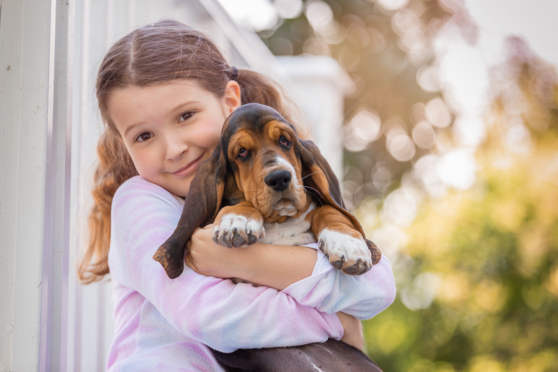 young girl with pig tails holding cute Bassett Hound puppy ©Terri J Photography