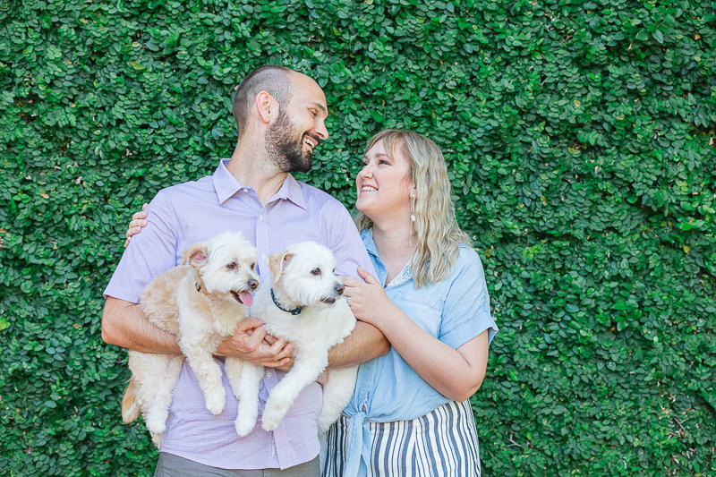 engagement photo ideas, couple holding dogs in front of vine covered wall | ©Charleston Photo Art