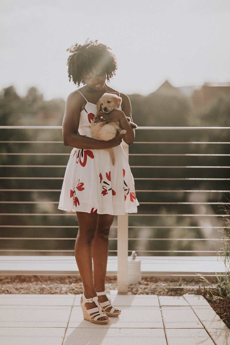 woman wearing white and red dress holding puppy on rooftop, ©Sheena Shahangian Photography