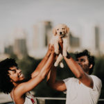 Puppy Love:  Simba the Golden Retriever | Atlanta, GA
