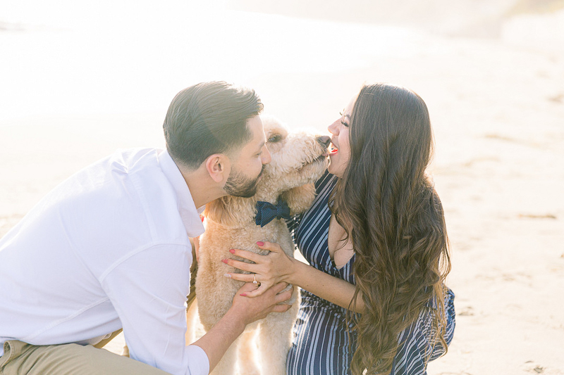 dog wearing blue bow tie, dog-friendly engagement session | © Fig + Willows Studio | Butterfly Beach