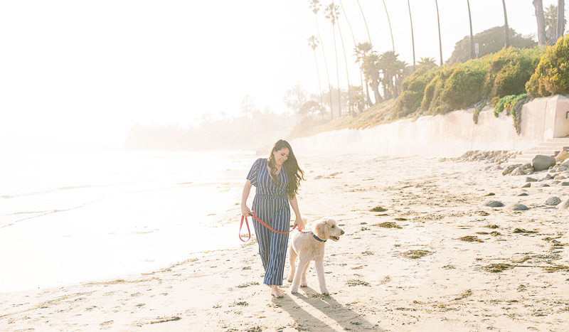woman walking her dog | Butterfly Beach | © Fig + Willows Studio
