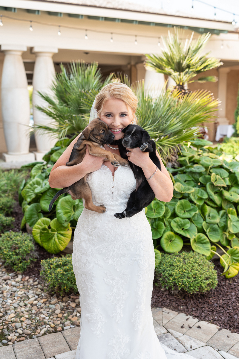 bride holding two puppies | raising awareness for rescue animal ideas | ©Ryan Smith Photography, Myrtle Beach, SC