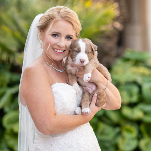 Best (Wedding) Puppies | Myrtle Beach, SC