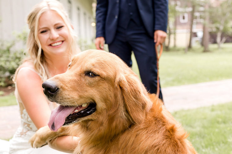 dog-friendly wedding ideas