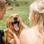 Best (Wedding) Dog:  Leo | Brainerd, MN