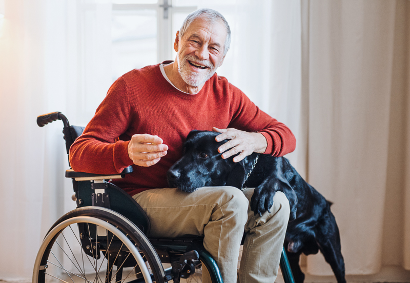 dogs in assisted living facility