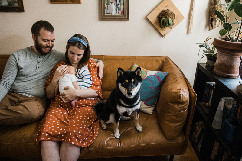 dog-friendly newborn session with Shiba Inu | ©Here Today Photography, Portland OR