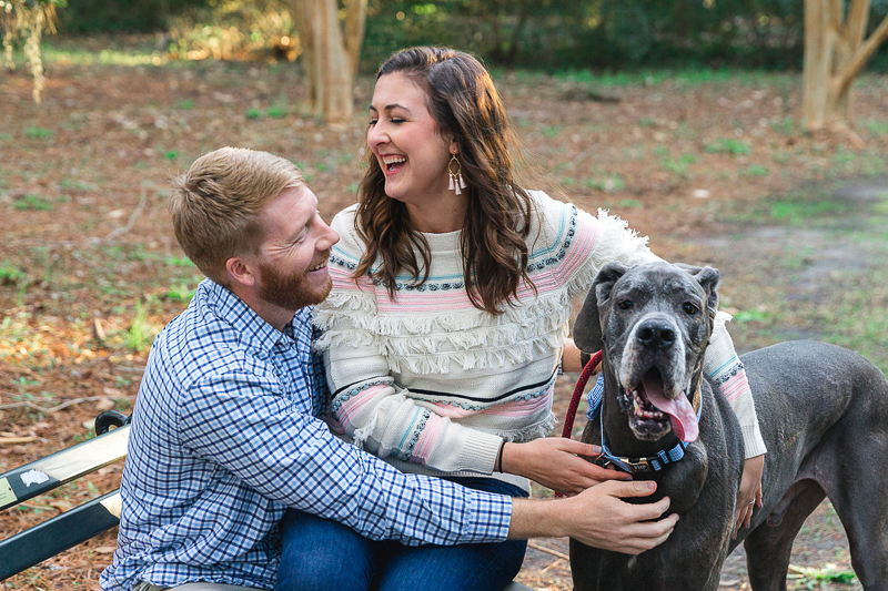 family portraits with a Blue Great Dane | ©Charleston Photo Art
