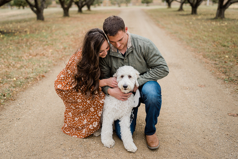 fall family photos with dog in orchard