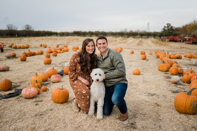 dog-friendly fall photo-shoot