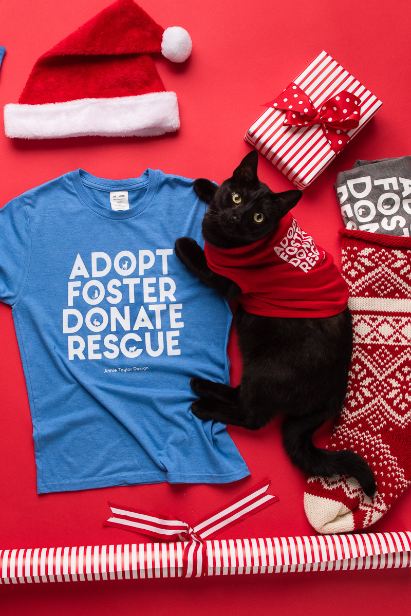 black cat wearing adopt foster donate rescue t shirt | Annie Taylor Design, Alice G Patterson Photography of Loving My Company
