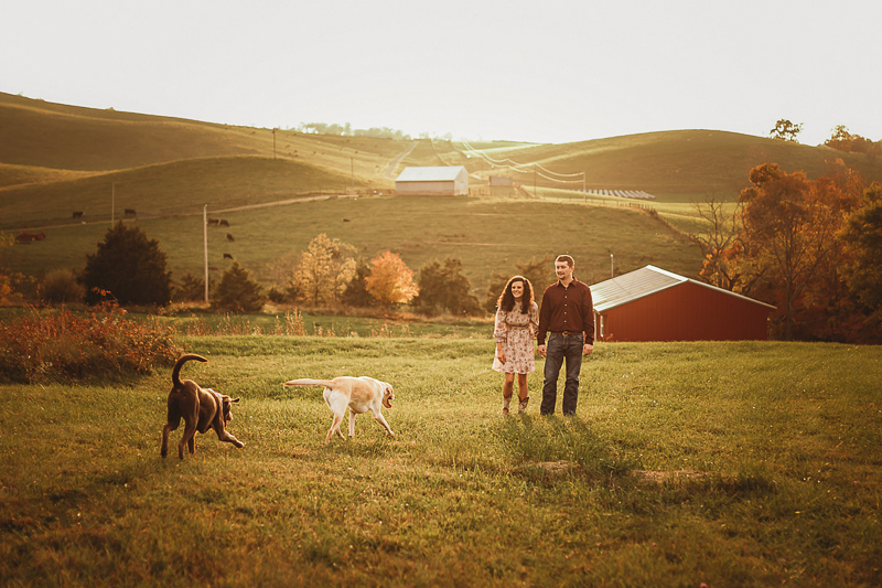 couple and their dogs standing in grass with barns and hills in the background ©Amanda Gibson Photography | dog-friendly portraits