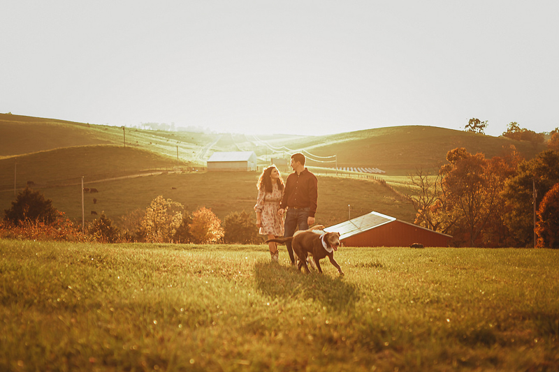silver lab running in front of couple, rural engagement session | ©Amanda Gibson Photography | 