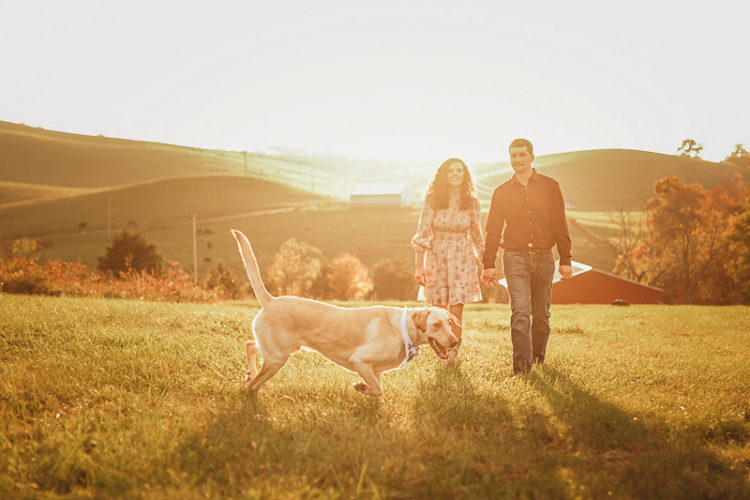 Rural engagement session ©Amanda Gibson Photography dog-friendly engagement session-