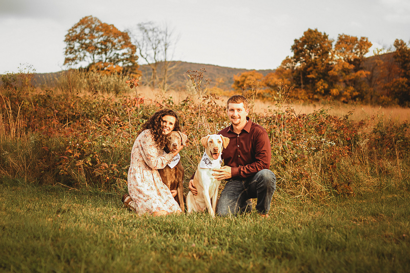 couple and dogs with mountains and fields behind them, dog-friendly engagement session ©Amanda Gibson Photography