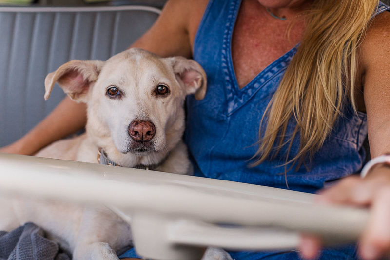 senior dog snuggled up to woman in vehicle, ©Leah Hargrove Photography, dog-friendly lifestyle family photography