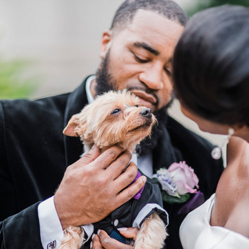 Dog-friendly Wedding | Houston, Texas
