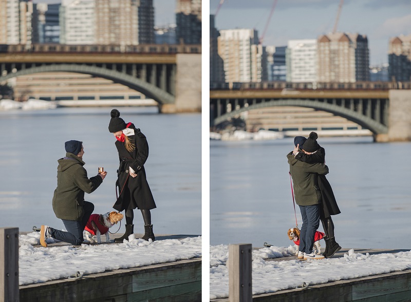 man proposing along Charles River | ©Amanda Macchia Photography | dog-friendly winter proposal