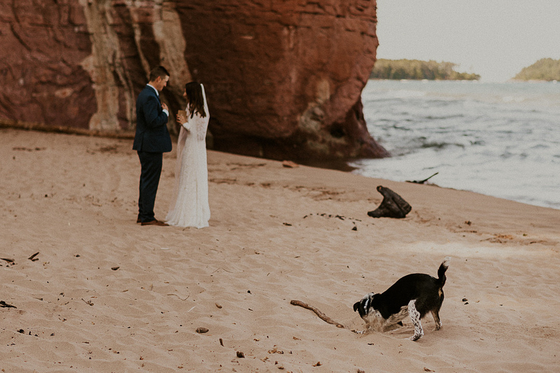 Dog digging in the sand during elopement ceremony, Lake Huron |