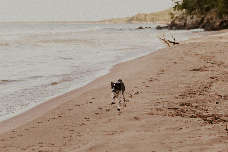 dog running along the beach, Upper Peninsula, Michigan | ©Brittany Hamann Photography