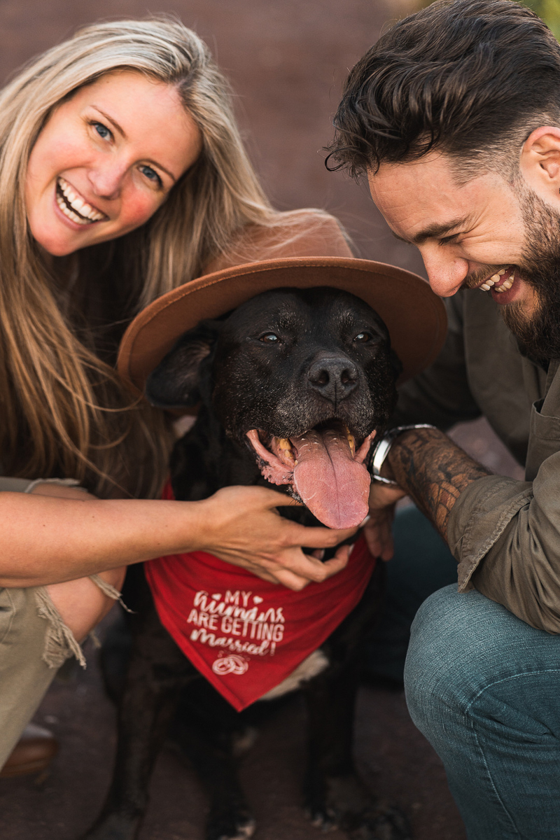 dog-friendly engagement session, dog wearing wool hat and red bandana | © Dawnpoint Studios, Lyndhurst, New Jersey