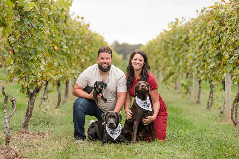 couple with their dogs in a vineyard | Fox Photography LLC