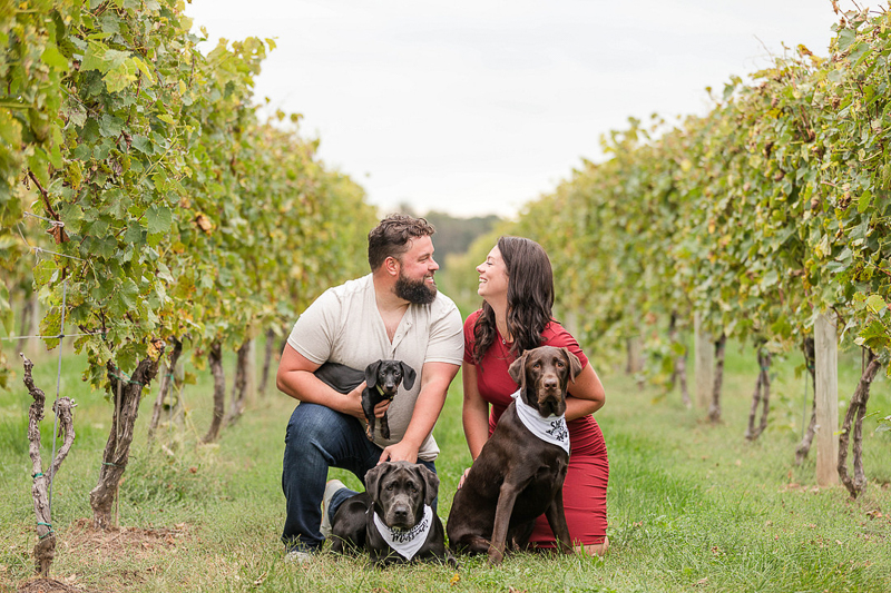 Couple and their Labs and Dachshund in vineyard, dog-friendly engagement session | Fox Photography LLC