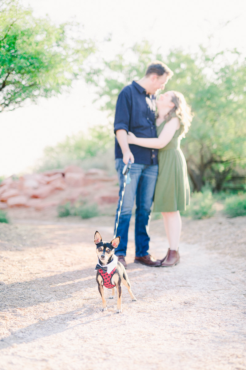 dog-friendly engagement photos with Min Pin/Chi mix | © Fig + Willow Studios