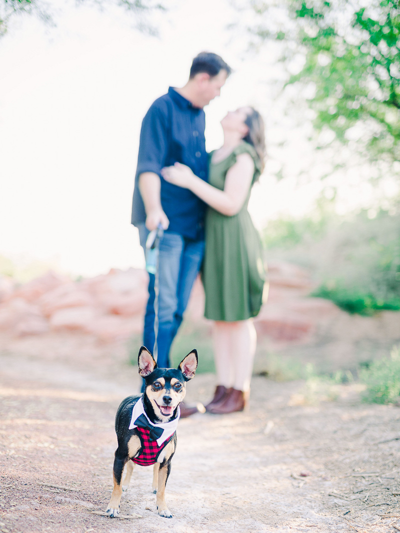 cute Miniature Pinscher/Chi mix on leash, couple kissing behind him, dog-friendly engagement ideas | © Fig + Willow Studios