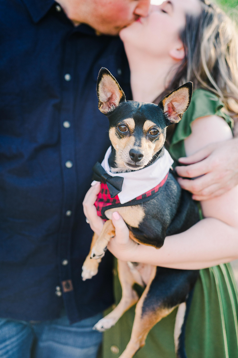 couple kissing while woman holds small dog, © Fig + Willow Studios engagement photos