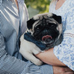 Dog-friendly Engagement With a Pug