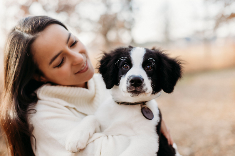 woman holding Border Collie Mix puppy, lifestyle pet portraits | ©Samantha Mitchell Photography | West Lafayette, IN