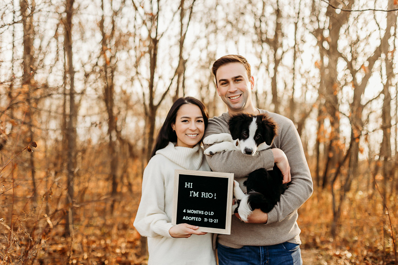 Cute way to announce new puppy, dog-friendly family portraits | ©Samantha Mitchell Photography