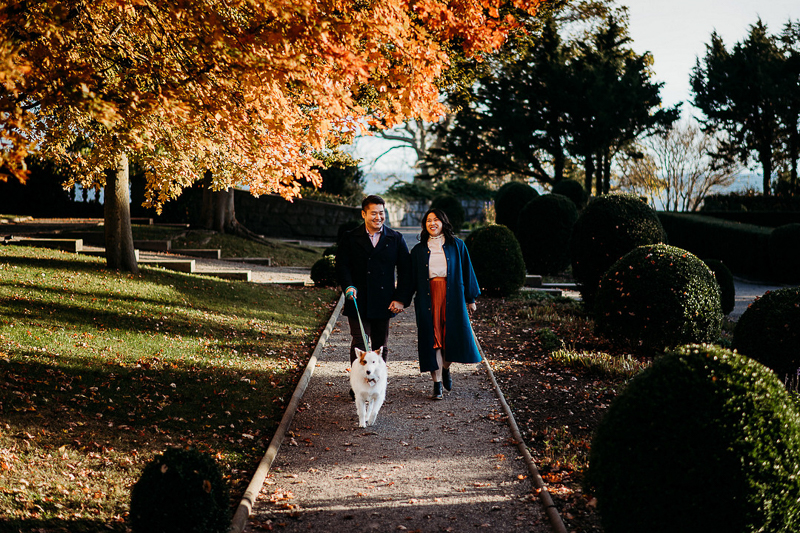 mixed breed and humans walking down park path | Harkness Memorial State Park | ©Terrence Irving Photography | CT Wedding Photography