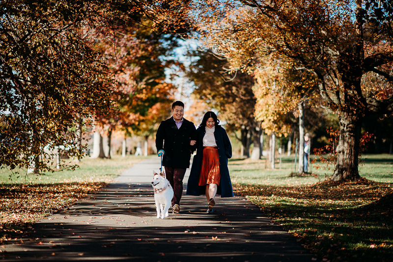 couple and their dog walking through park in the fall | Waterford, CT | ©Terrence Irving Photography 