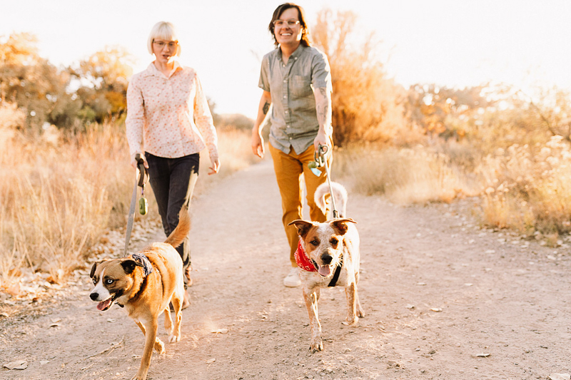 couple walking Beagle mix and Heeler mix | ©Tessa Klingensmith Photography | Albuquerque, NM