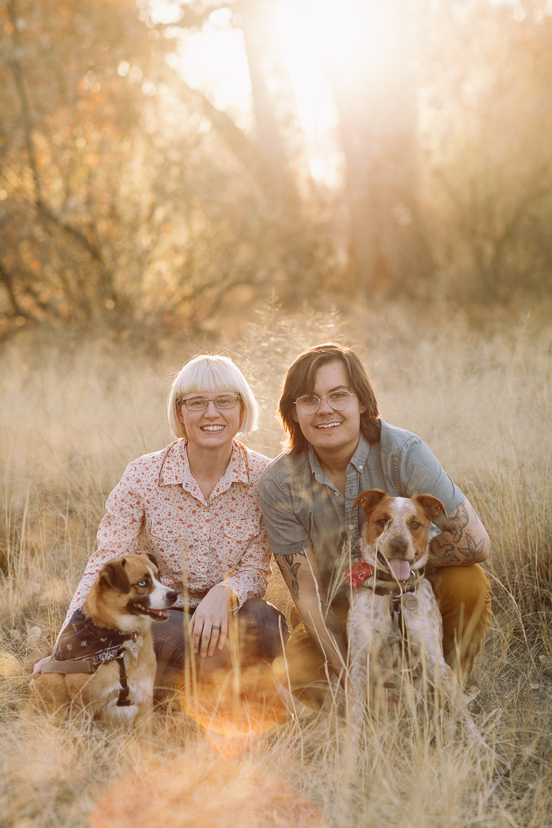 Unique Family Portraits With Dogs — free download