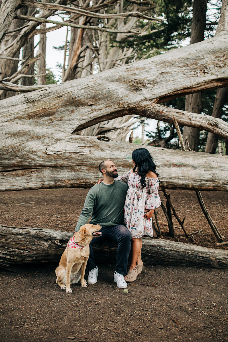 couple and Retriever mix in front of fallen Cyprus tree | ©Love and Latitudes