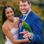 Bird-friendly Elopement With a Lorikeet | Ouray, CO