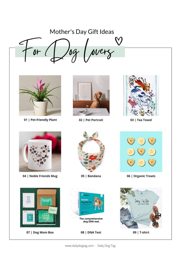 Mother's Day Gift Ideas for Dog Lovers Daily Dog Tag