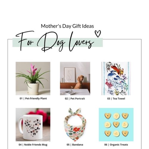 Mother’s Day Gift Ideas for Dog Lovers