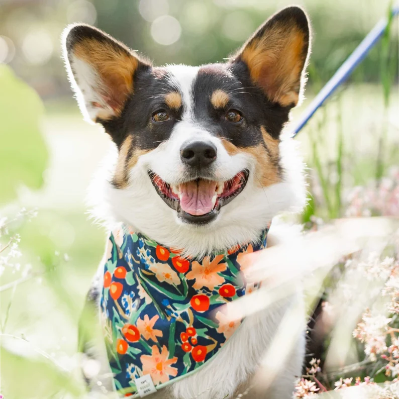 happy dog wearing spring bandana
