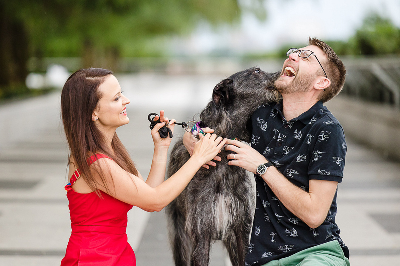 man laughing as Scottish Deerhound licks him | ©Megan Rei Photography | dog-friendly family portraits | Kennedy Center, Washington, DC