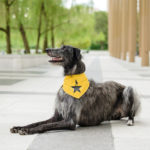 © Megan Rei Photography – dog-friendly portraits, Kennedy Center-7